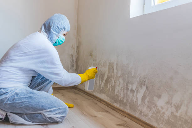 Mold Remediation specialist working in Libertyville